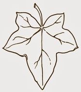 outline of Ivy Leaf, Clip Art