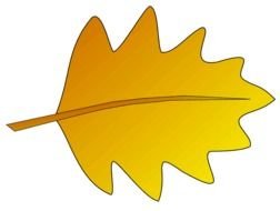 Autumn Leaf 3 Sketch Clipart Lge 12 Cm Long Photo