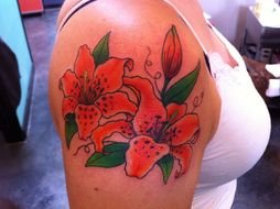 Orange Tiger Lily Tattoo drawing