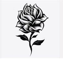 Single Rose Drawing N2