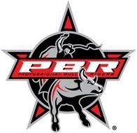 PBR bull Logo drawing