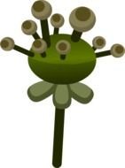 unusual plant as an illustration
