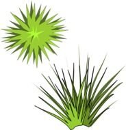 Plant Clip Art N41