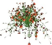 large bouquet of red small flowers as picture for clipart