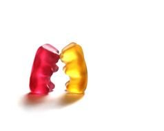 two chewing bears on a white background