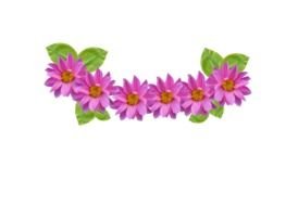 Blue Transparent Flower Crown drawing