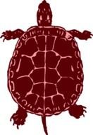 red turtle as illustration