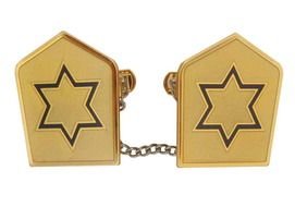 earrings with asterisks as picture