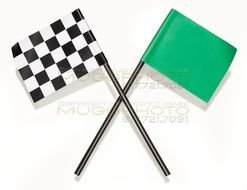 Race Car Flags N4