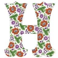 Fancy Font Letter H