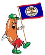 drawn sausage in a sports uniform with a flag