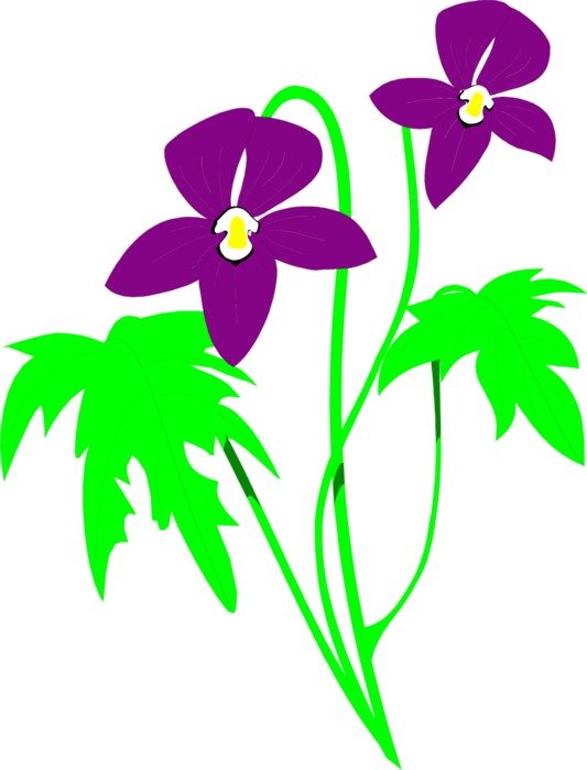 Purple Flower Clip Art N80