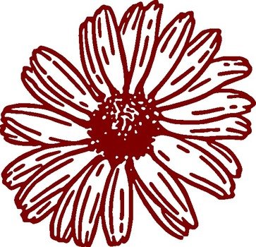 Daisy Clip Art N39