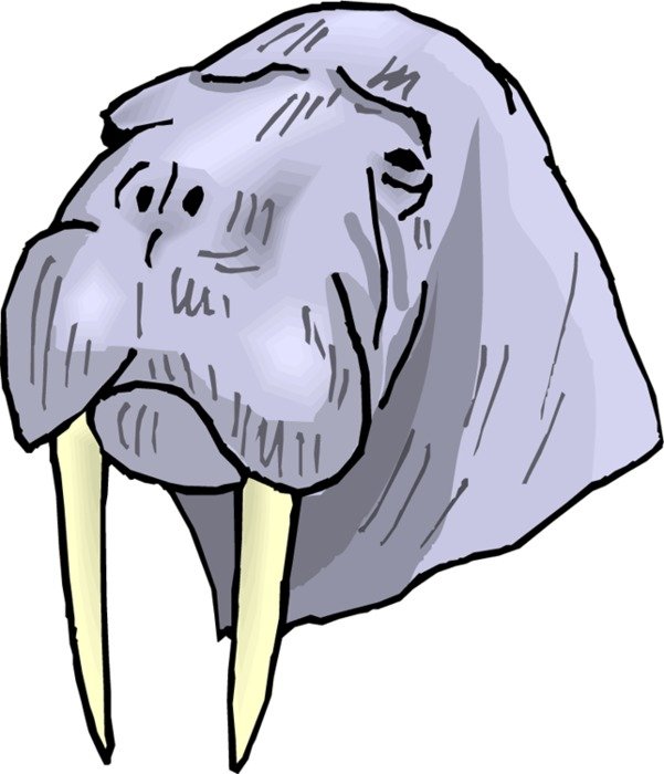 Walrus Clip Art N9