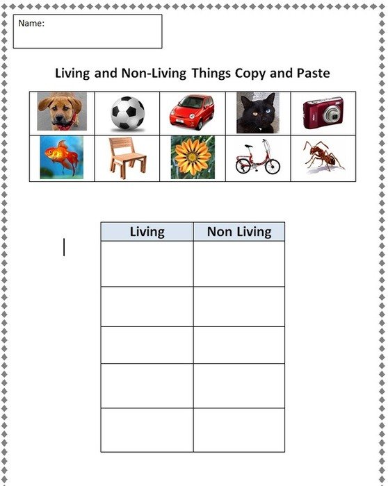 Living And Non Things Worksheet drawing
