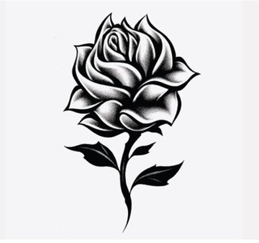 Single Rose Drawing N2