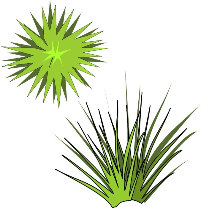 Plant Clip Art N41