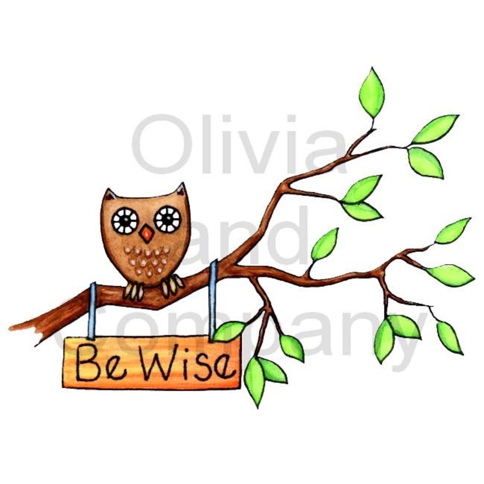 Wise Owl