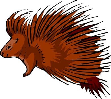 Porcupine Clip Art N6