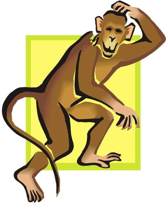 Monkey Clip Art N104