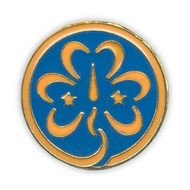Girl Scout Trefoil Pin N2