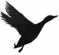 Clip art of Flying Duck Silhouette