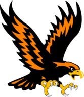 black-orange eagle on a white background