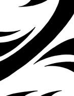 black and white background picture