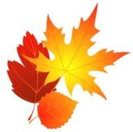 Bright fall leaves clipart