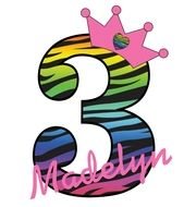 Rainbow Zebra Print N2
