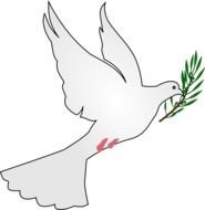 Peace Dove N6