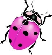 Flying Ladybug Clip Art N3