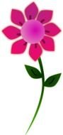 illustration of the pink flower