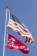 flags on flagpoles against the blue sky