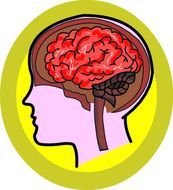 Special Education And Communication Disorders Seeks Participants