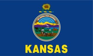 Kansas State Flag drawing