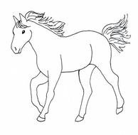 Horse Drawings