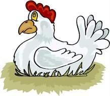 white small Chicken drawing