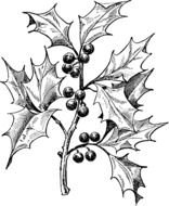 Christmas Black And White drawing