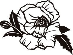 Poppy Clip Art N12