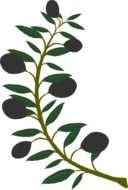 Dove With Olive Branch Clip Art N6