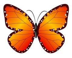 Free Butterfly Vector Graphics N2