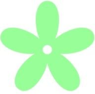 Mint Green Flowers N2