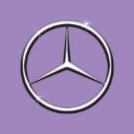Mercedes Benz Logo N4