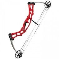 Hoyt Compound Bows