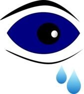 Eye Clip Art N90