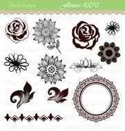 Flower Clip Art Calligraphy