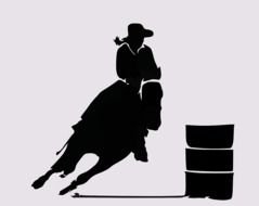 Rodeo Western Cowboy West Wild Horse Riding