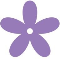 Purple Flower as an illustration