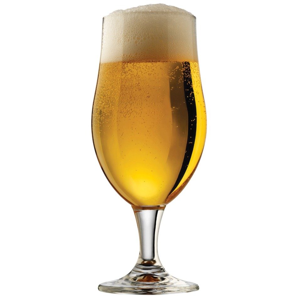 Tulip Beer drawing